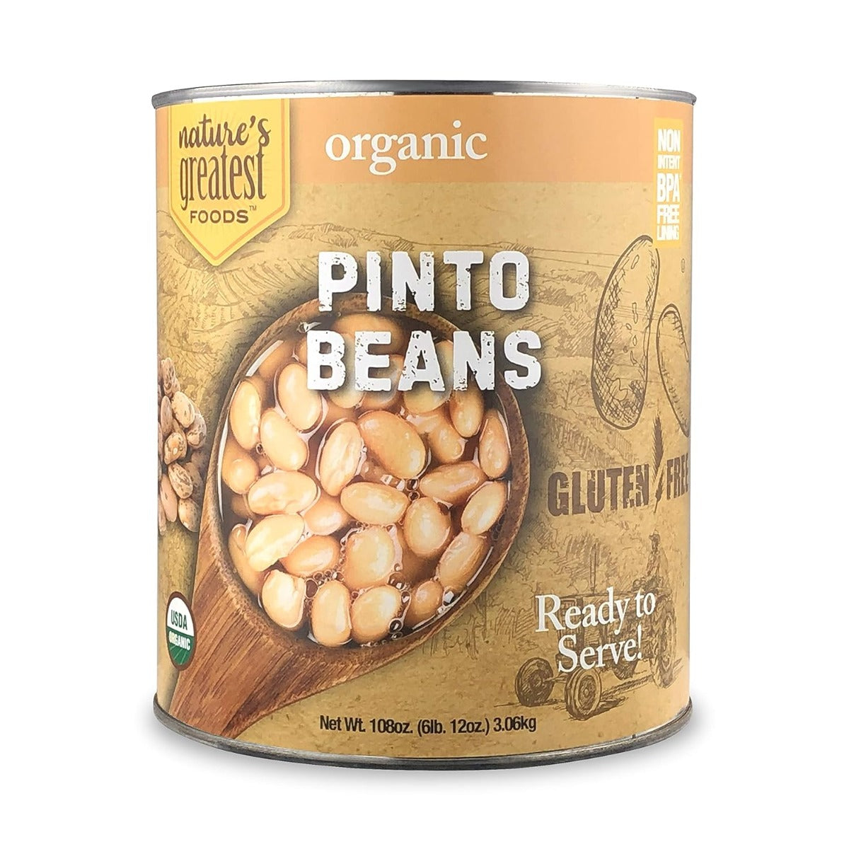 NATURE'S GREATEST FOODS: Organic Pinto Beans, 108 oz