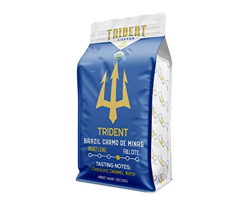 TRIDENT COFFEE: Coffee Trident Roasted, 12 oz