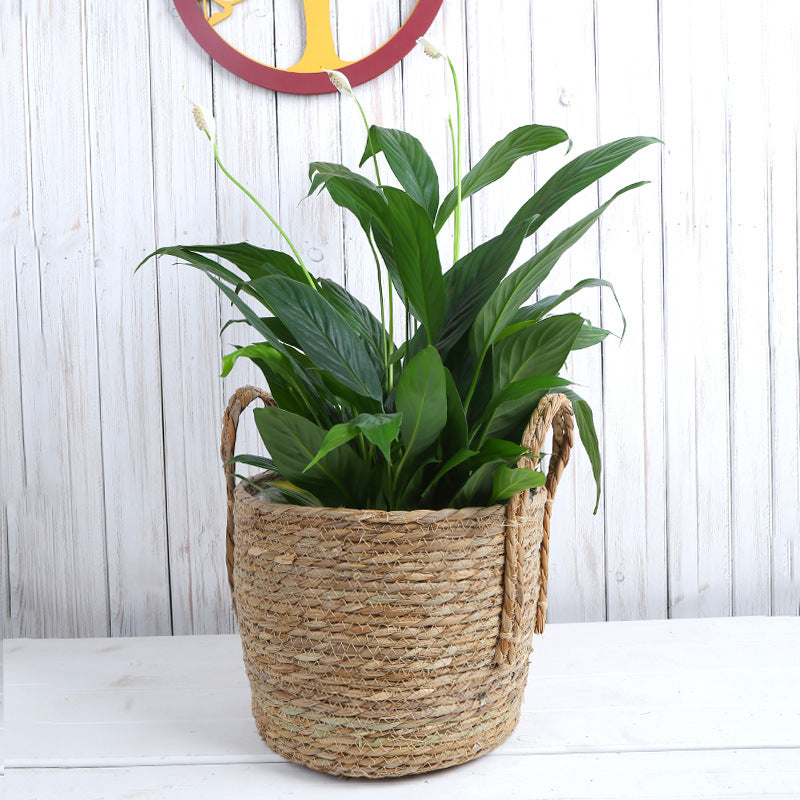 Creative Woven Rattan Flower Basket for Home Decor