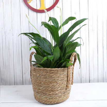 Creative Woven Rattan Flower Basket for Home Decor