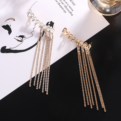 Exaggerated Tassel Zircon Earrings