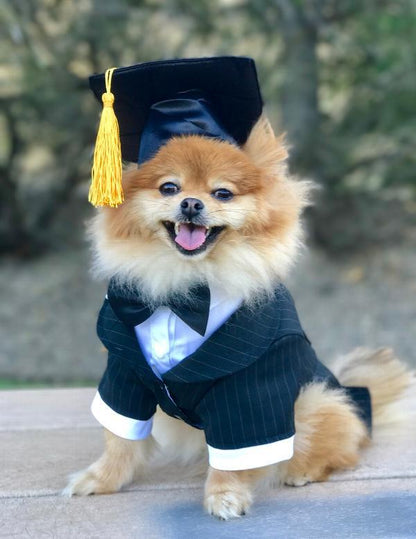 Custom Doctoral Graduation Cap for Dogs with Tassel