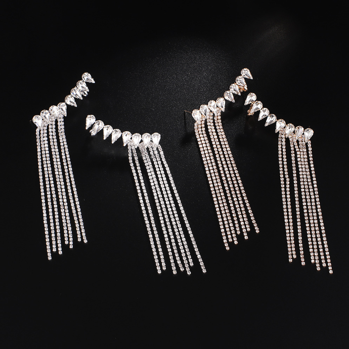 Exaggerated Tassel Zircon Earrings