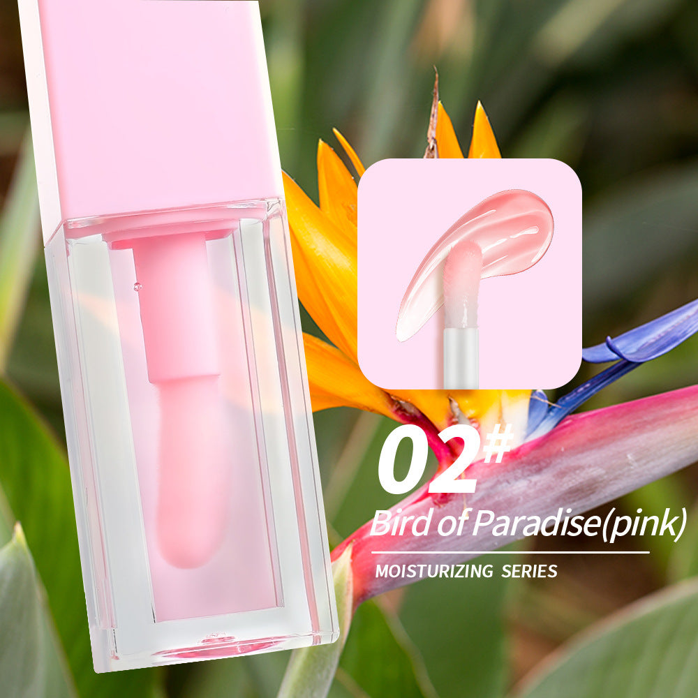 Color Changing Moisturizing Lip Gloss