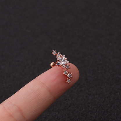 Stainless Steel Star Zirconia Screw Earrings (Pierced)