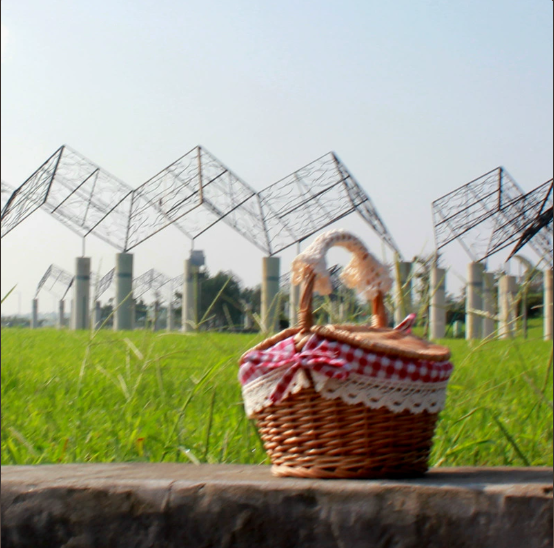 Woven Willow Picnic Basket with Fruit Bowl (One Piece)