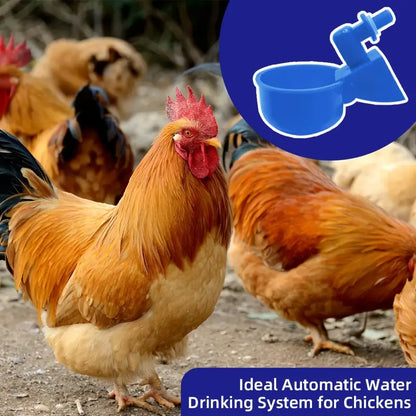 Automatic Poultry Feeder and Waterer Kit for Chickens