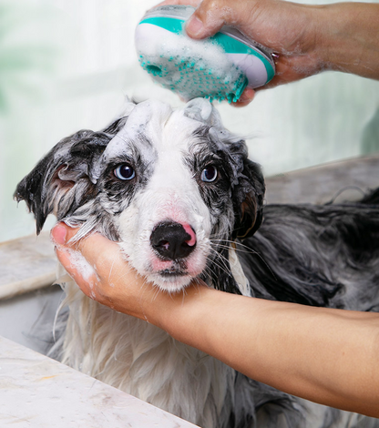 Pet Bathing Tool with Massaging Brush for Dogs and Cats