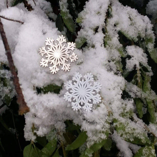 Snowflake Pin