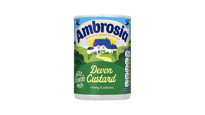 AMBROSIA: Devon Custard Can, 14.1 oz