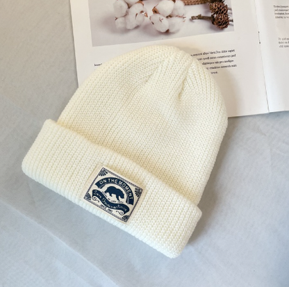 Stylish Warm Woolen Hat for Men and Women
