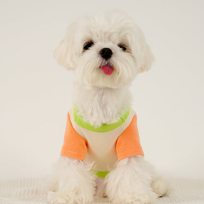 Puppy Dog Color Clash Home Wear Bottom Shirt