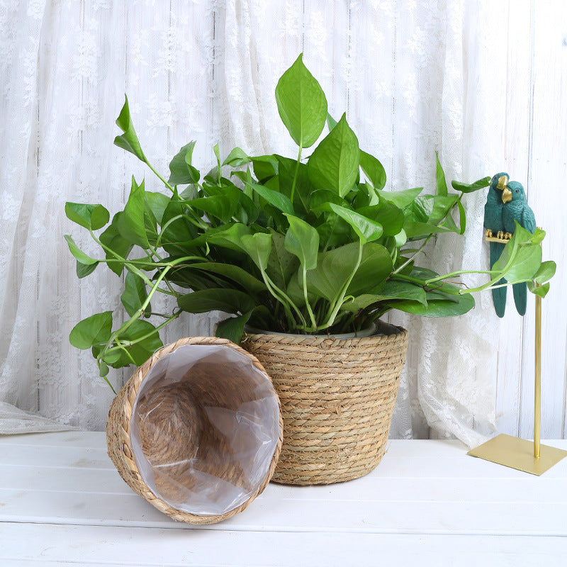 Creative Woven Rattan Flower Basket for Home Decor