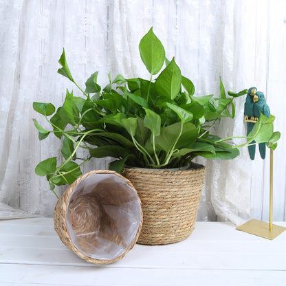 Creative Woven Rattan Flower Basket for Home Decor