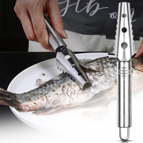 Fish Scale Scraper - 430 Stainless Steel Tool