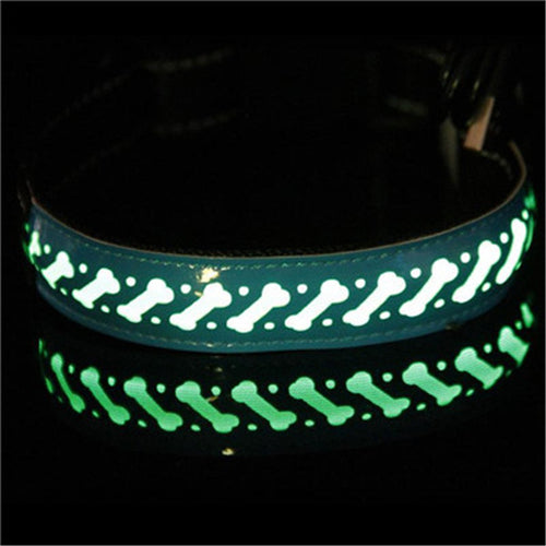 LED Glow Pet Collar with Light-Up Features