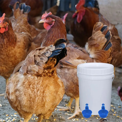 Automatic Poultry Feeder and Waterer Kit for Chickens